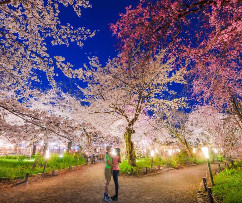 Kyoto & Nara Private Customized, Guided Tour - Nishiki Market: a short taste of everyday Kyoto