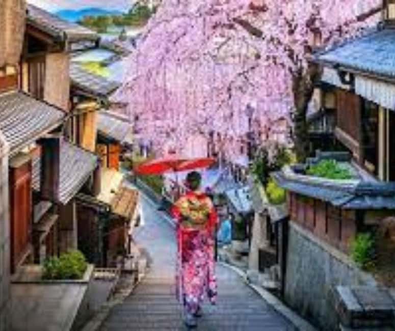 Kyoto & Nara Private Customized, Guided Tour - Osaka and the Dotonbori option