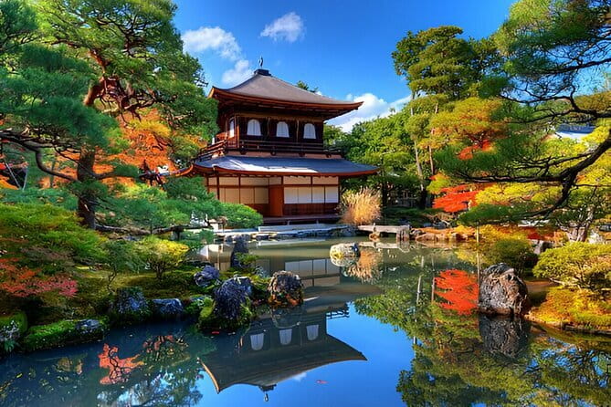 Kyoto & Nara Private Day Tour - What this Osaka private tour is really offering