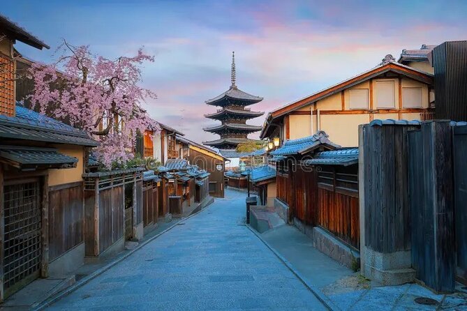 Kyoto & Nara: Private Day Tour by luxury Vehicle & English Guide - What the private vehicle changes
