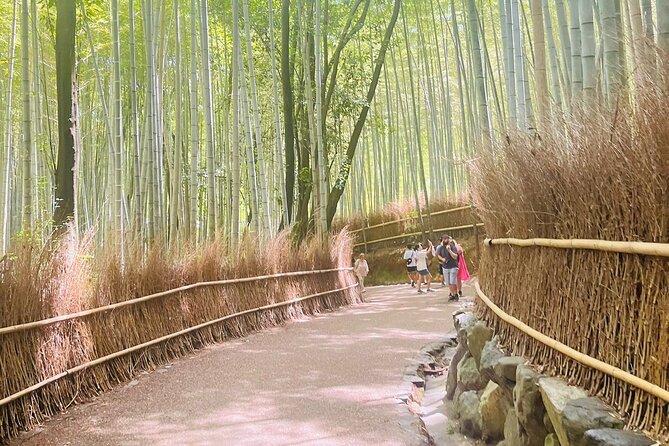 Kyoto & Nara: Private Day Tour by luxury Vehicle & English Guide - Is five-stop sightseeing worth $323.42?