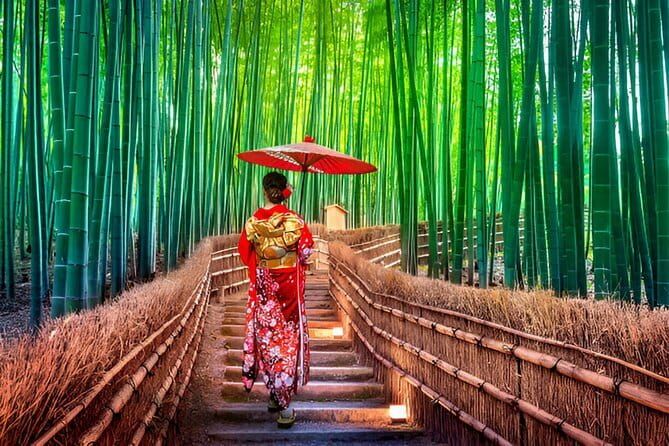 Kyoto & Nara Private Day Tour - Arashiyama’s bamboo grove and crowded lanes