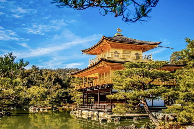 Kyoto&Nara Private Highlights Tour with English driver Pickup - Fushimi Inari and its long red tunnel