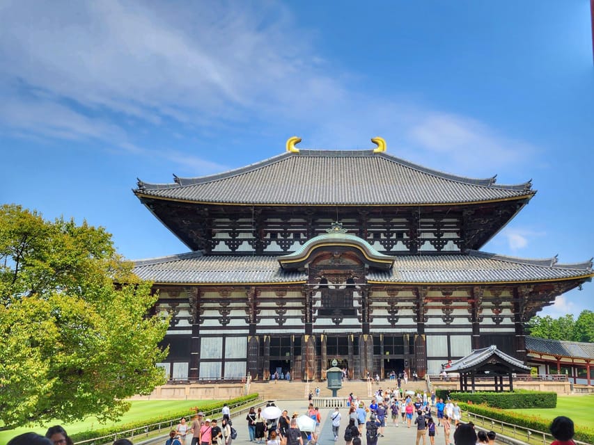 Kyoto: Nara, Todaiji, Kasuga Taisha Shrine Private Full Day - From Kyoto Station to Nara by express train