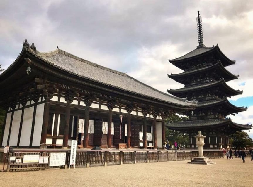Kyoto: Nara, Todaiji, Kasuga Taisha Shrine Private Full Day - Meeting Nara’s free-roaming Sika deer