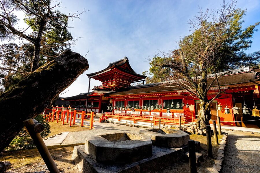 Kyoto: Nara, Todaiji, Kasuga Taisha Shrine Private Full Day - Kofukuji and the story of ancient Nara