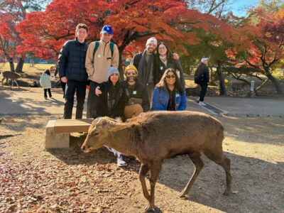 Nara & Traditional Matcha Experience Bus Tour