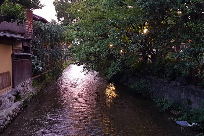 Kyoto Nighttime All-Inclusive Eats and Streets, Gion and Beyond - Who should book this Kyoto night tour