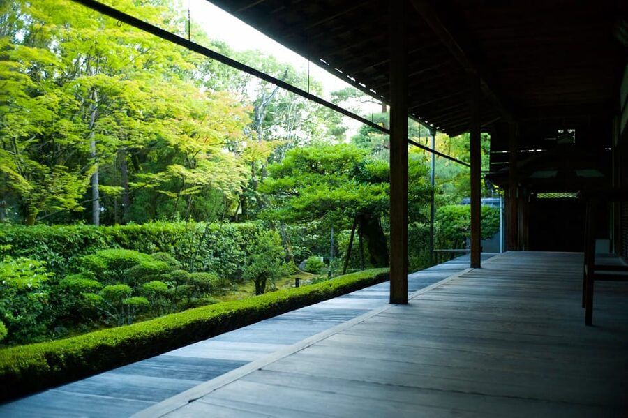 Kyoto: Nighttime Zen Meditation and Matcha Tea Experience - Four illuminated gardens and a slower view of Kyoto