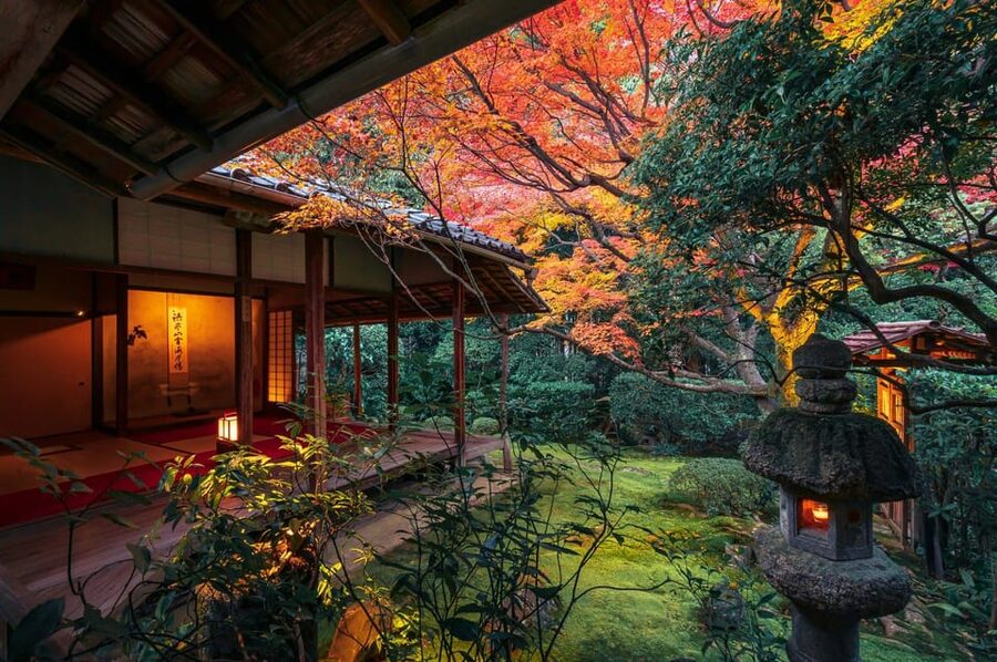 Kyoto: Nighttime Zen Meditation and Matcha Tea Experience - Zazen with Deputy Chief Priest Yasumasa Arashima