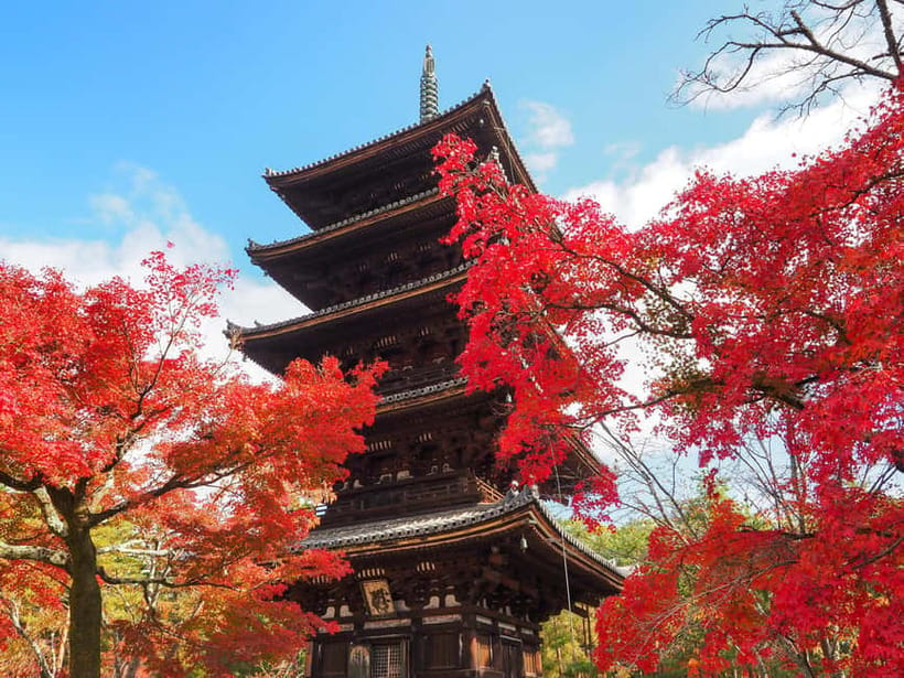 Kyoto: Ninnaji Temple Entry Ticket - Why Ninnaji’s late sakura changes the Kyoto blossom plan