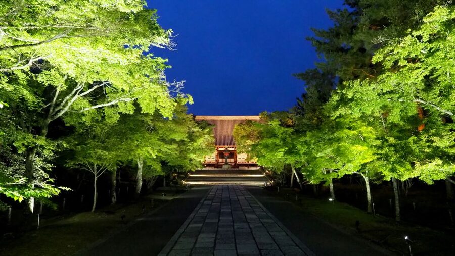 Kyoto: Ninnaji Temple Entry Ticket - Kannon-do and the possibility of a special guide