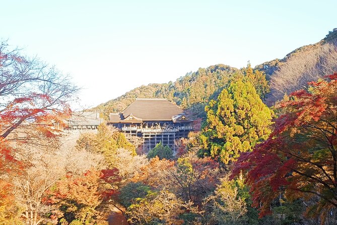 Kyoto Off The Beaten Path: Hidden Zen Garden & Magical Shrine - What the $97.55 price buys you