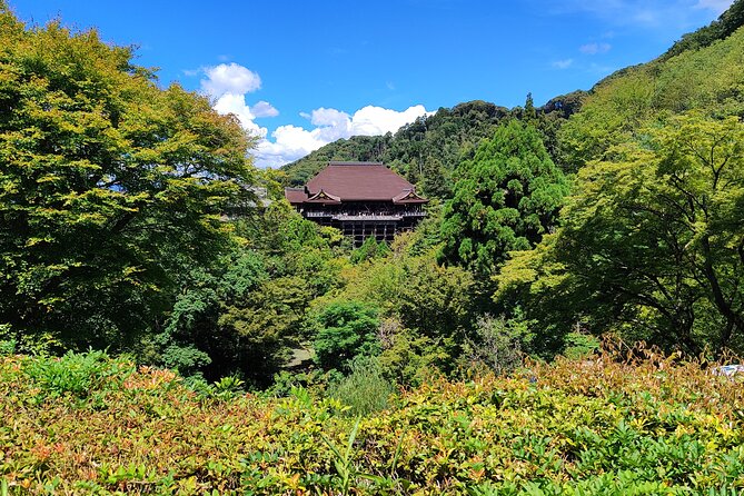 Kyoto Off The Beaten Path: Hidden Zen Garden & Magical Shrine - The small-group format and guide experience