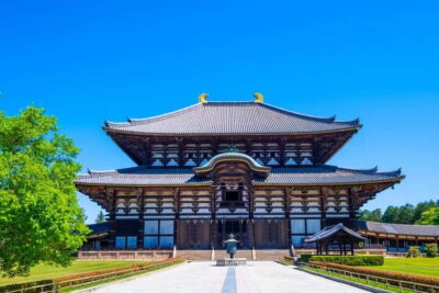 Kyoto/Osaka: Kinkakuji, Bamboo Forest, and Nara Deer Park
