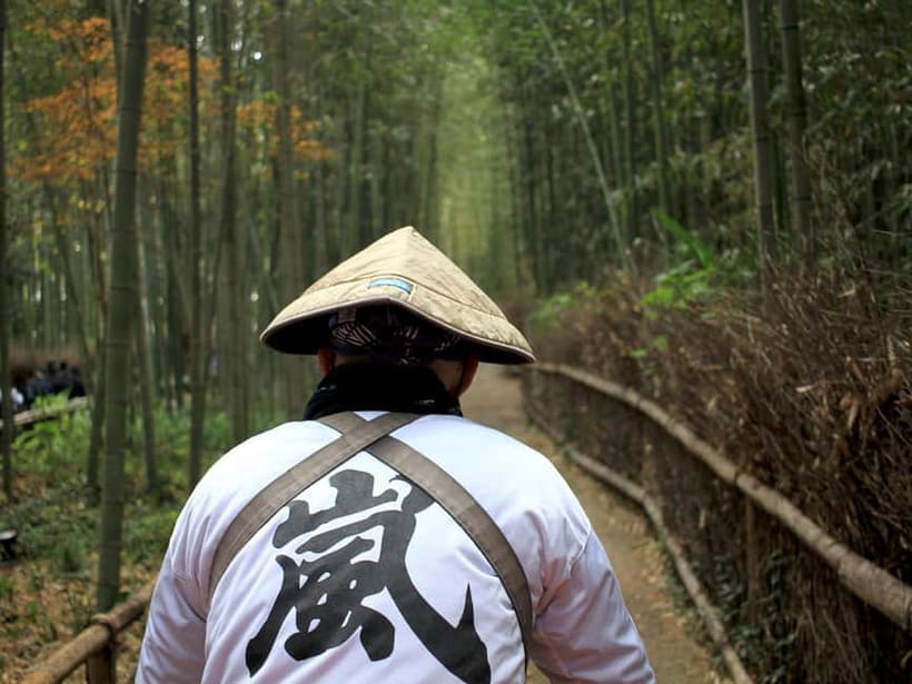 Kyoto/Osaka: Kinkakuji, Bamboo Forest, and Nara Deer Park - Lunch, transport, and what the $69 price buys