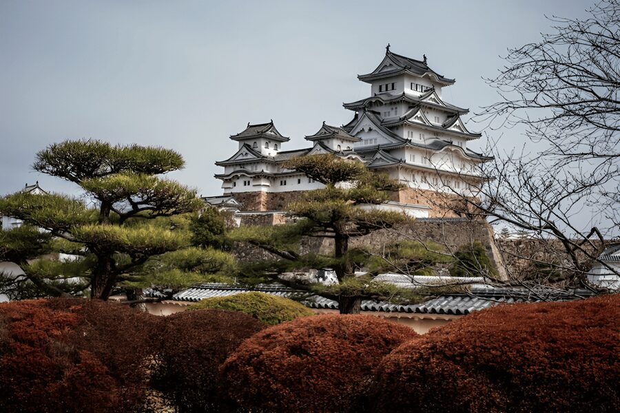 Kyoto/Osaka: Kobe & Himeji Journey Through Culture & History - A full day, with some real scheduling pressure