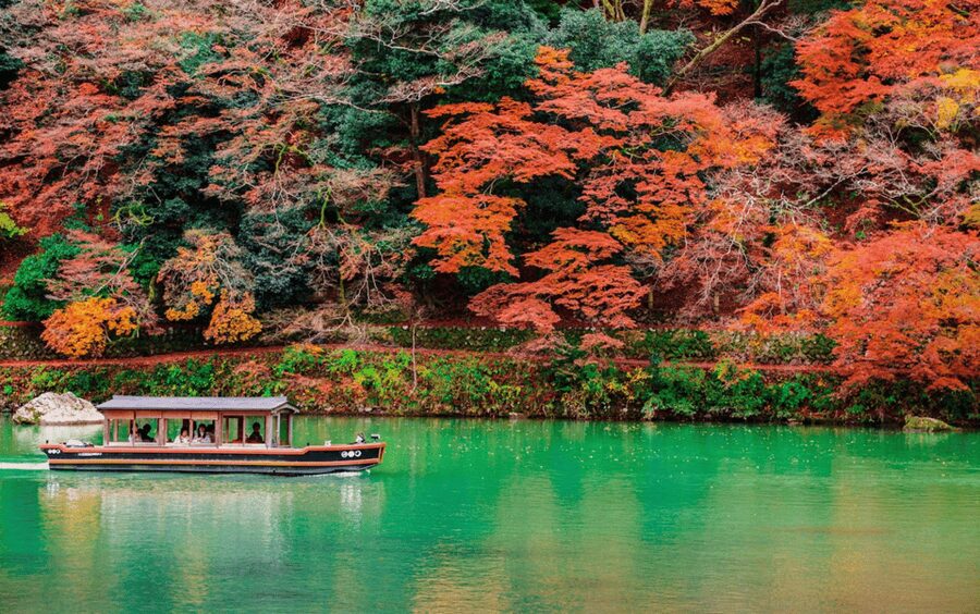 Kyoto/Osaka: Kyoto and Nara Customizable Guided Day Trip - A private day built around your priorities