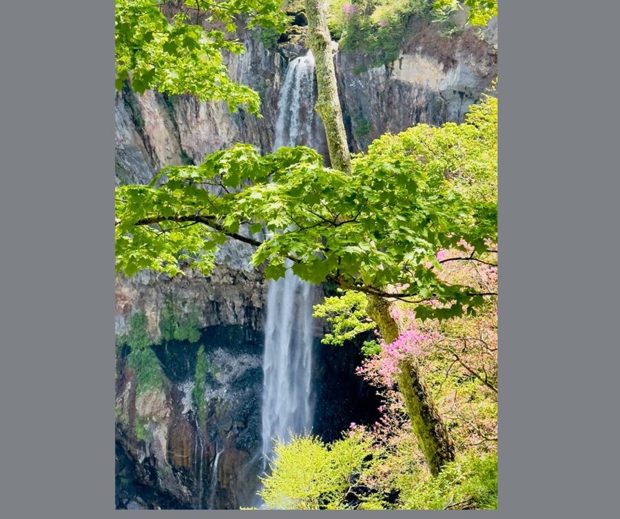Kyoto/Osaka: Kyoto and Nara Customizable Guided Day Trip - The guide can make or break the day