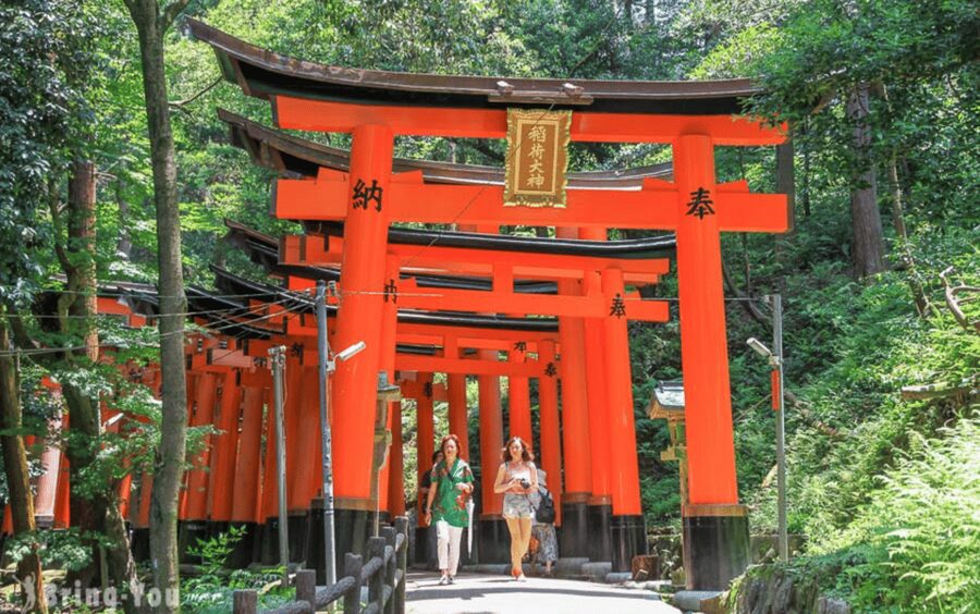 Kyoto/Osaka: Kyoto and Nara Customizable Guided Day Trip - Pickup in Kyoto, Osaka, or Nara