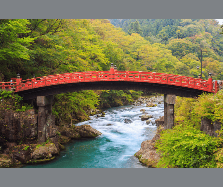 Kyoto/Osaka: Kyoto and Nara Customizable Guided Day Trip - What a Kyoto-only day can include