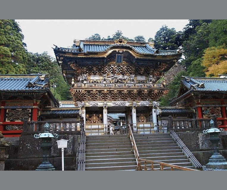 Kyoto/Osaka: Kyoto and Nara Customizable Guided Day Trip - What a Nara-only day can include