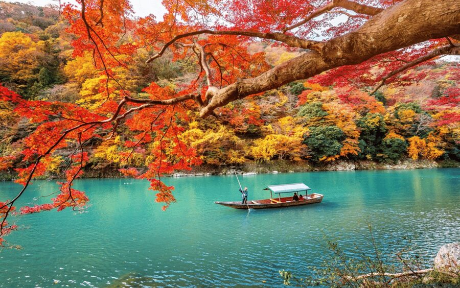 Kyoto/Osaka: Kyoto and Nara Customizable Guided Day Trip - Arashiyama Bamboo Grove, Kyoto’s popular photo stop