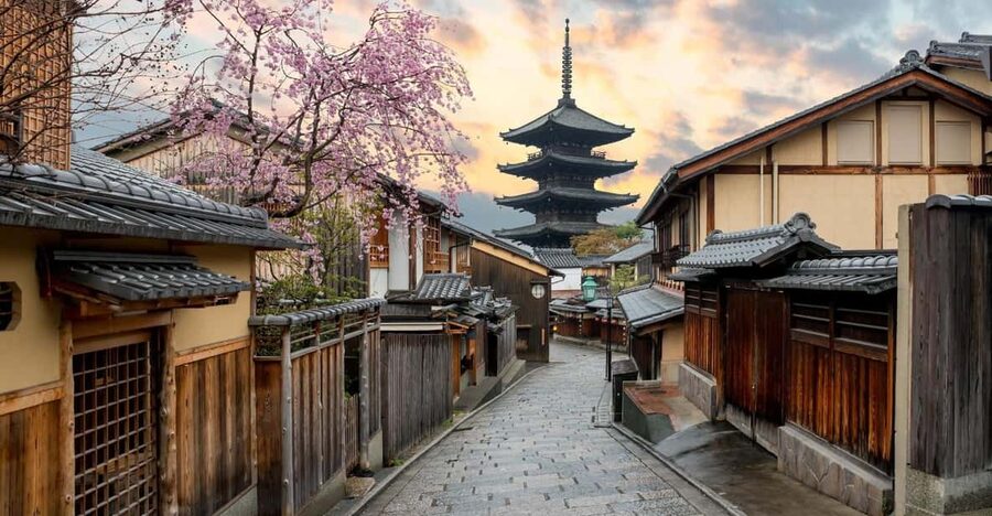 Kyoto/Osaka: Kyoto and Nara Customized Private Guided Tour - Fushimi Inari’s vermilion torii gates