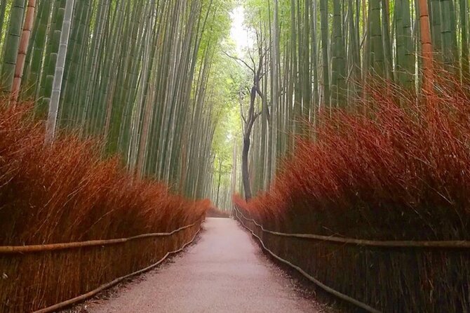 Kyoto, Osaka, Nara Full Day tour by Car English speaking Driver - What Osaka and Nara can look like