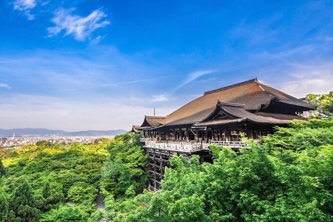 Kyoto, Osaka, Nara Full Day tour by Car English speaking Driver - The quieter and more specialized Kyoto choices