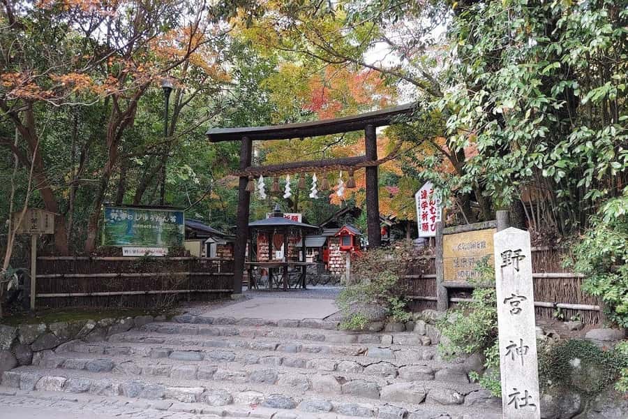 Kyoto/Osaka/Nara Private Customized Tour with Guide - Fushimi Inari’s red gates and forest walk