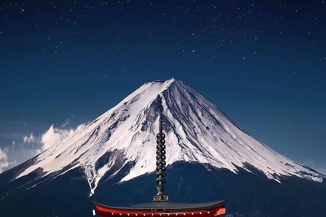 Kyoto, Osaka, Nara Private Tour by Car English Driver Guide - Kyoto: eight famous stops in one very full day