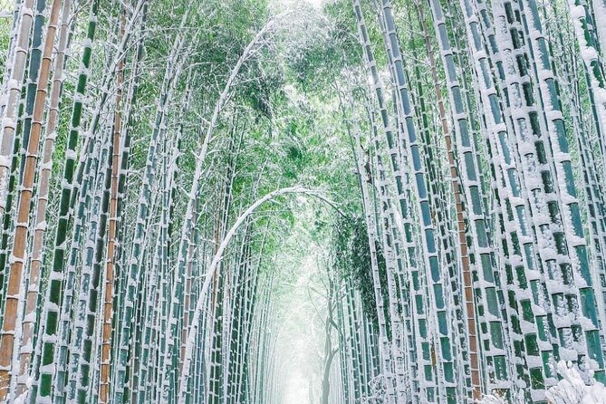 Kyoto, Osaka, Nara Private Tour by Car English Driver Guide - Nara: deer, temples, and a calmer pace