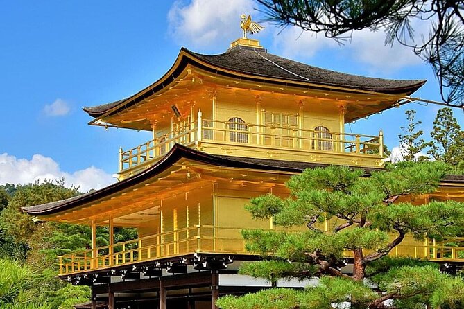 Kyoto, Osaka, Nara Private Tour by Car English Driver Guide - Osaka: castle, shrines, and evening streets