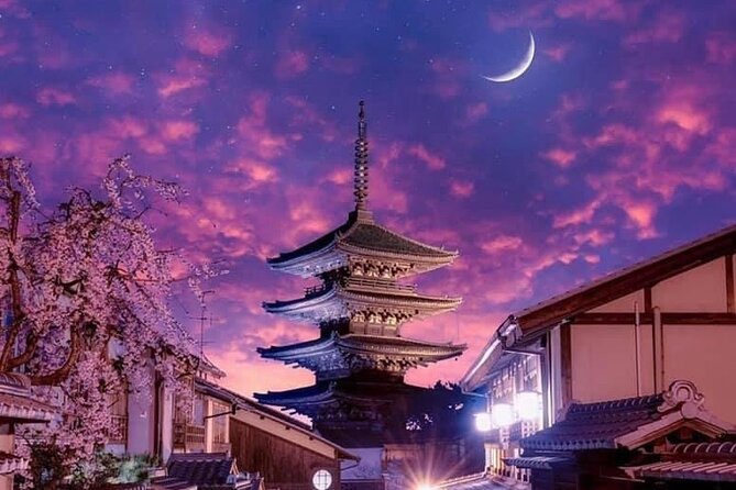 Kyoto, Osaka, Nara Private Tour by Car English Driver Guide - The guide question: driver, escort, or historian?