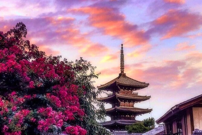 Kyoto, Osaka, Nara Private Tour by Car English Driver Guide - Why the private car can be worth $660.51