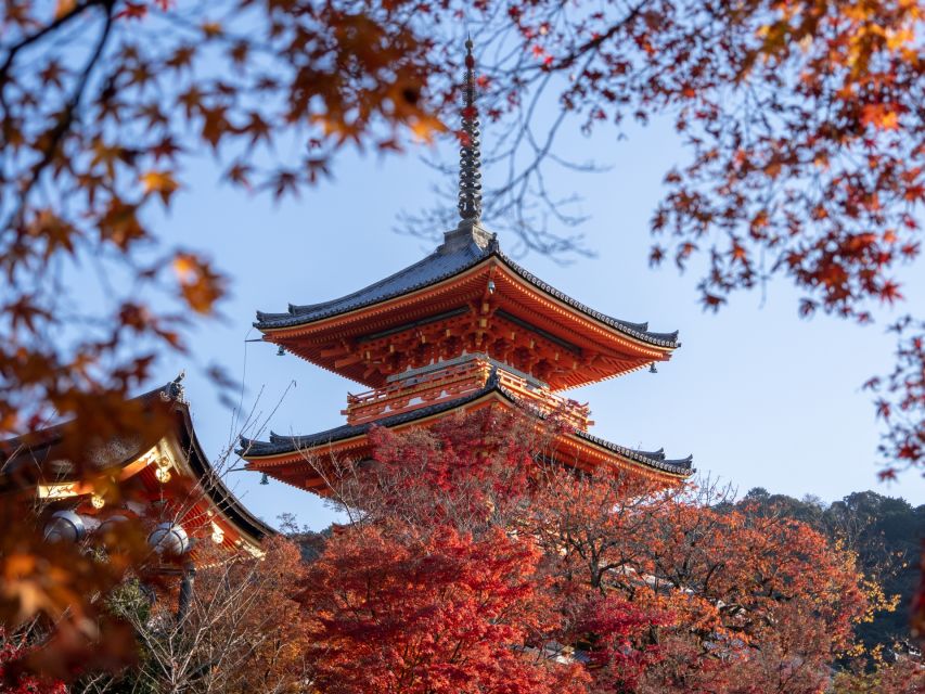 Kyoto: Personalized Guided Private Tour - Kiyomizu-dera for Kyoto views