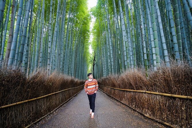 Kyoto Photography Masterclass - Private Photography Lesson - Pontocho District: lantern light and narrow views