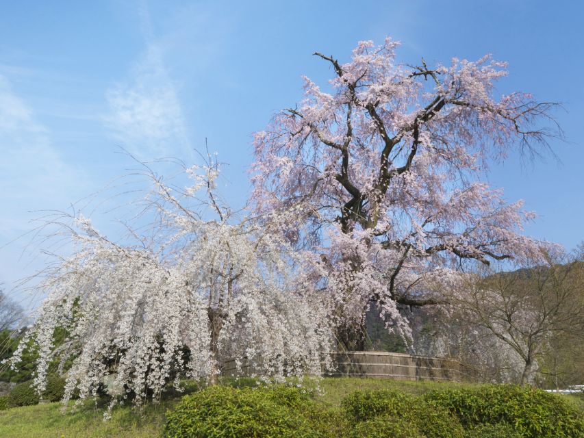 Kyoto: Private 2.5 Hour Historical Walking Tour - Why the private format works well