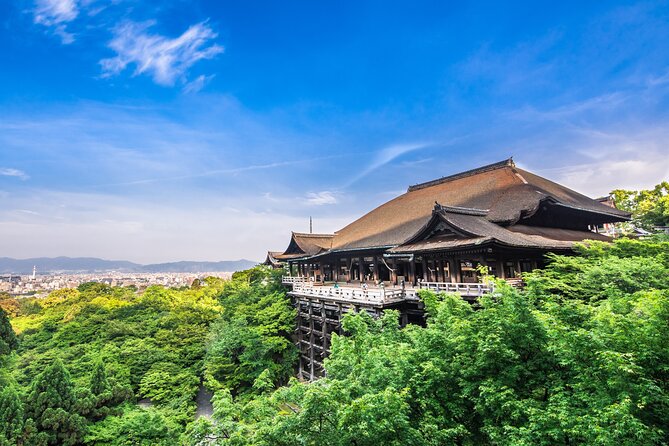 Kyoto Private 6 hour Tour: English Speaking Driver Only, No Guide - Fushimi Inari: choose your walking goal before you arrive