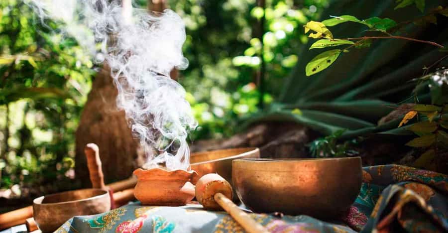 Kyoto Private Car Tour with Japanese Navigator (+Nara) T5 - Key Points to Know Before Booking