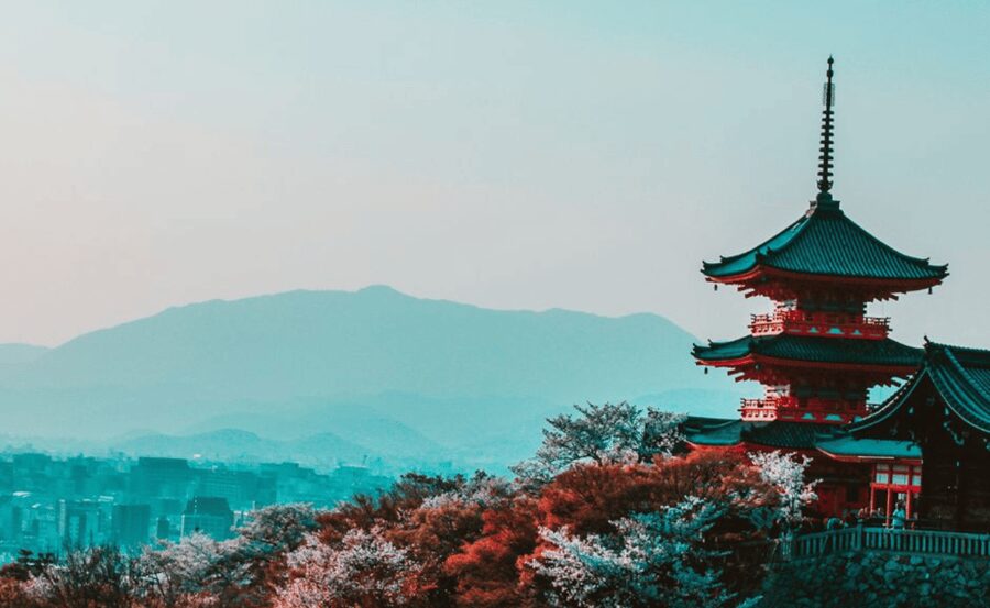 Kyoto : Private Custom Walking Tour With A Local Guide - Choosing between two hours and eight