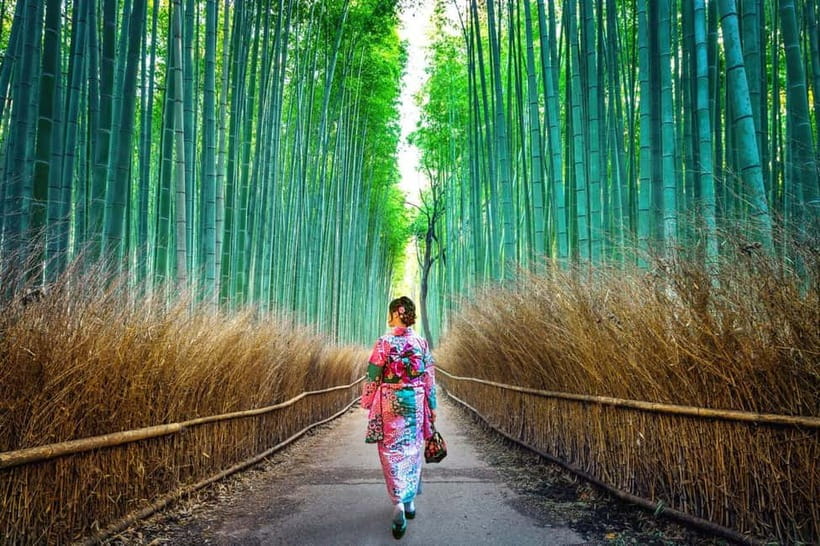 Kyoto: Private Customizable Day Tour with Guide and Vehicle - The Kyoto day tour in brief