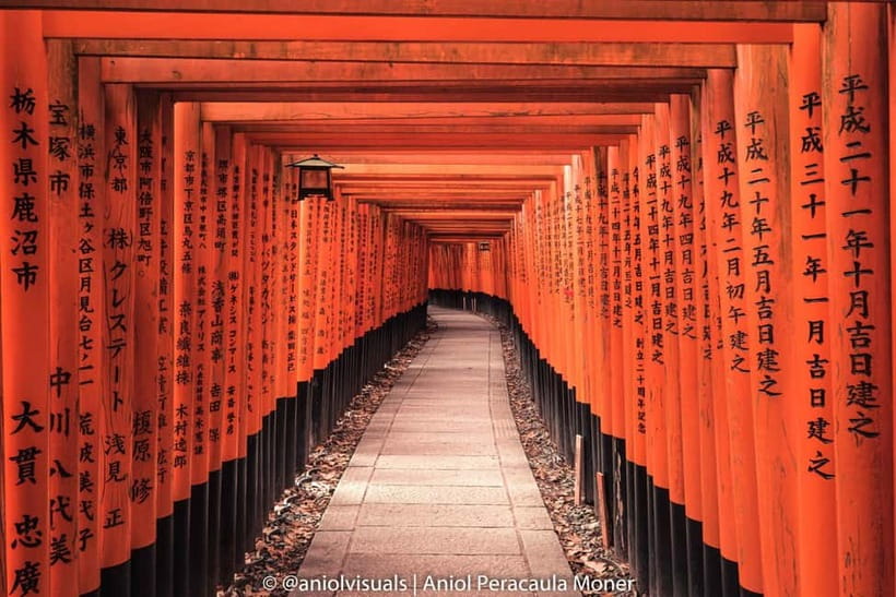 Kyoto: Private Customizable Day Tour with Guide and Vehicle - Arashiyama Bamboo Forest and the western hills