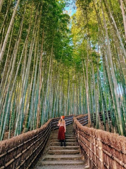 Kyoto: Private Customizable Day Tour with Guide and Vehicle - Gion and the traditional streets