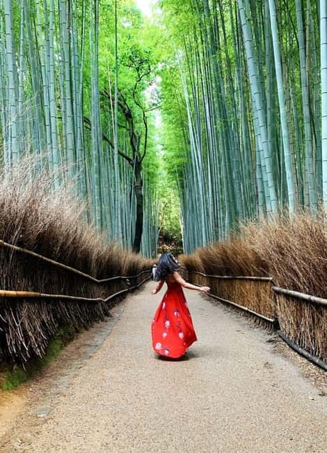 Kyoto: Private Customizable Day Tour with Guide and Vehicle - How much can you really see in one day?