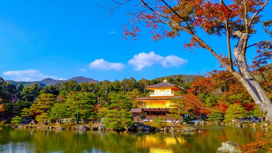 Kyoto: Private Customizable Day Trip by Car - Key points to know before booking