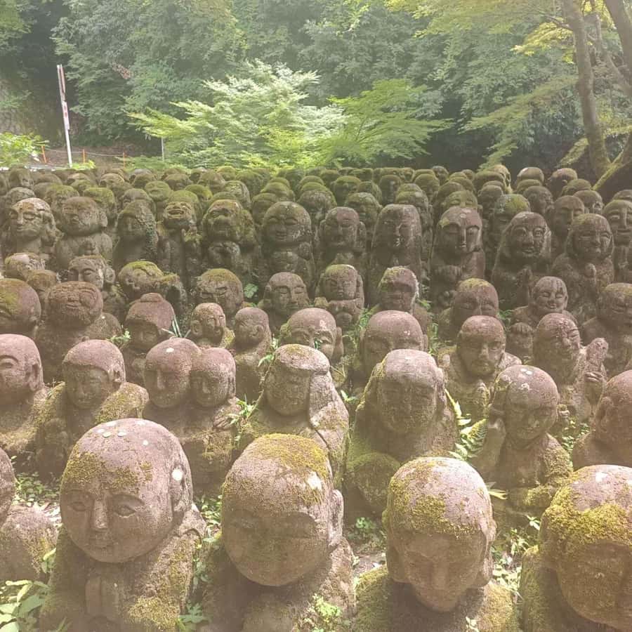 Kyoto: Private Customizable Day Trip by Car - What the private driver adds