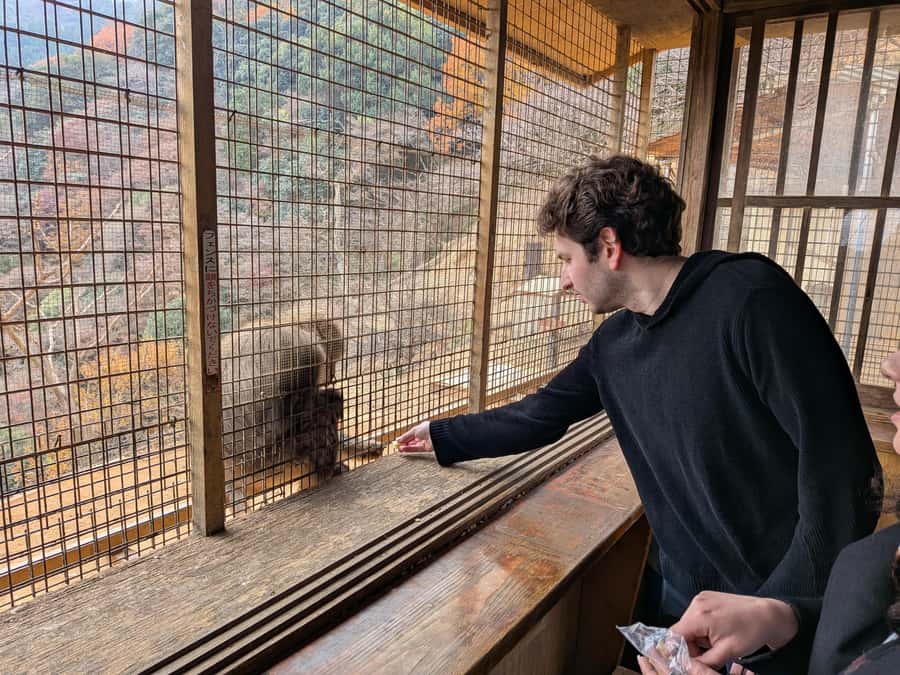 Kyoto: Private Customizable Day Trip by Car - The important limit: this is not a walking guide