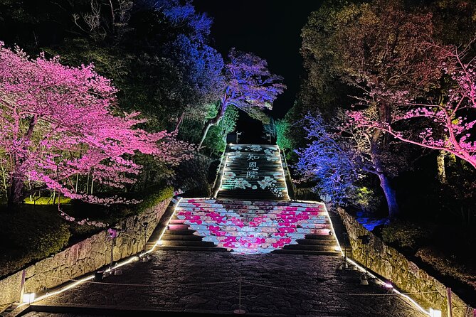 Kyoto Private Customizable Day Trip With English chauffeur - A private Kyoto day built around your priorities